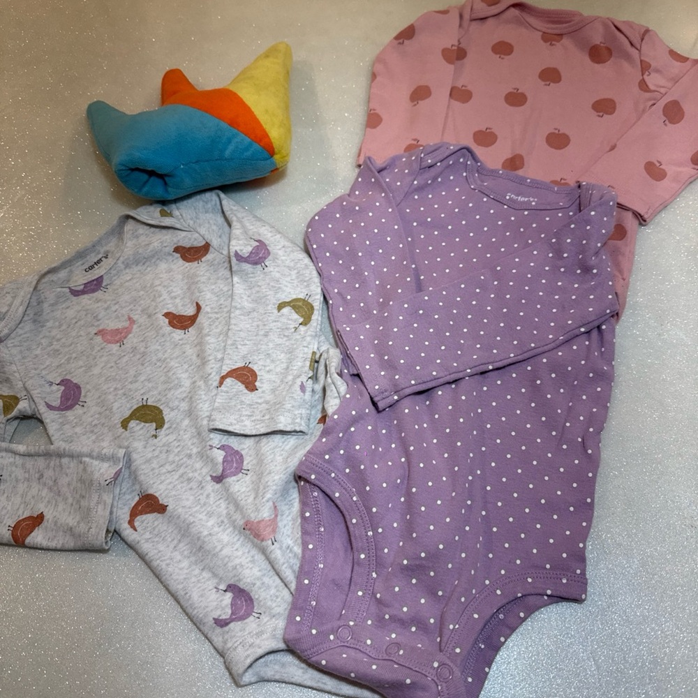 Carter's Pink and Purple Bodysuit Set